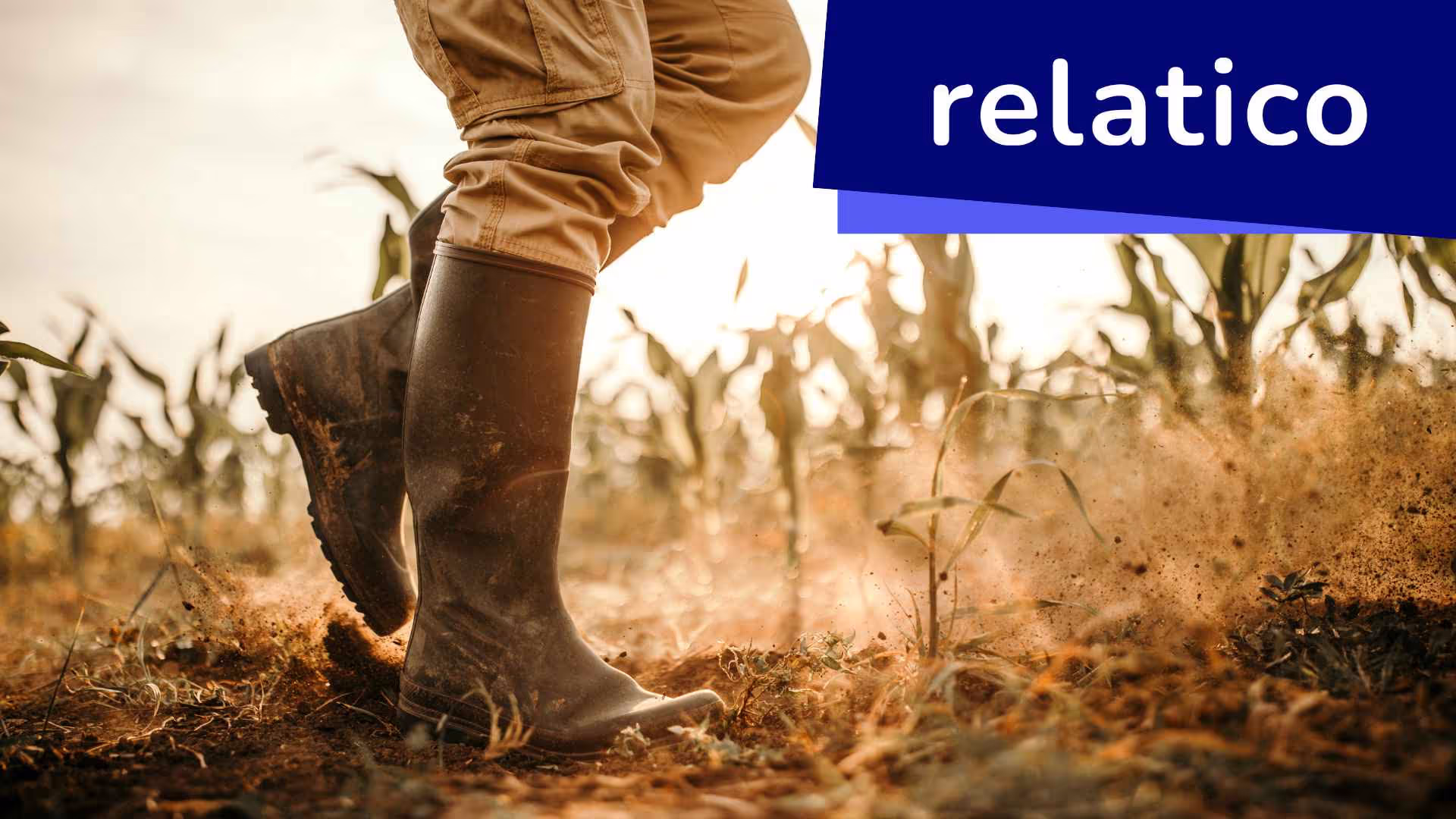 Mergulhe na eficácia dos projetos voltados para pequenos agricultores e nas transferências diretas de renda no contexto do software SRM e da sustentabilidade. Descubra como a iniciativa inovadora de renda básica da Give Directly no Quênia está redefinindo a ajuda agrícola tradicional, promovendo o desenvolvimento sustentável e demonstrando o potencial do software SRM para apoiar o empoderamento econômico e a proteção do meio ambiente.