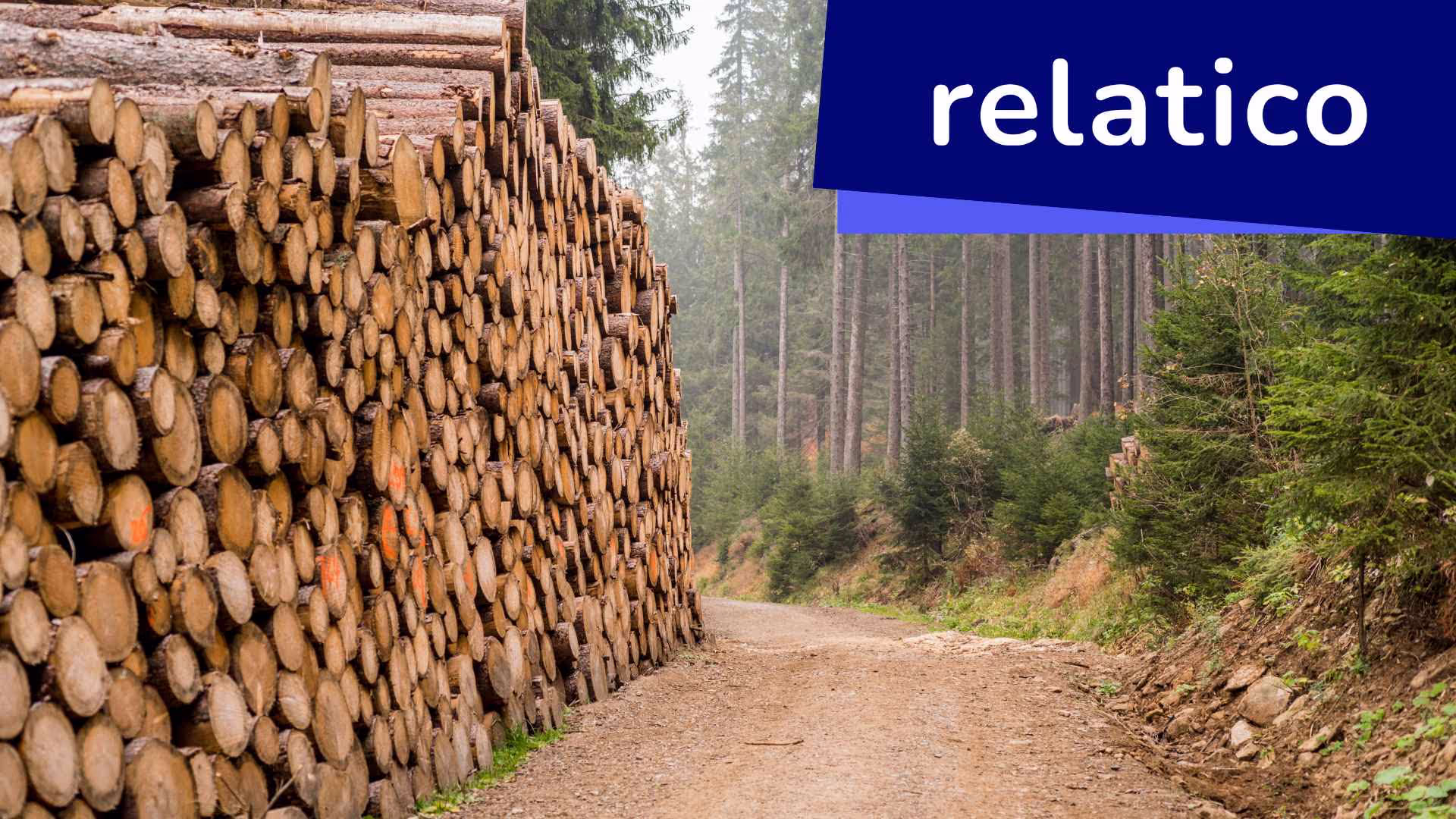 Saiba mais sobre o Regulamento da UE sobre o Desmatamento (EUDR) de 2023, práticas comerciais sustentáveis, conformidade com o EUDR, política ambiental da UE, transparência na cadeia de suprimentos e responsabilidade corporativa. Leitura indispensável para empresas e especialistas em sustentabilidade que lidam com os novos regulamentos da UE.